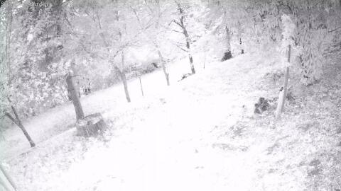 1393-20260512205002-18.jpg