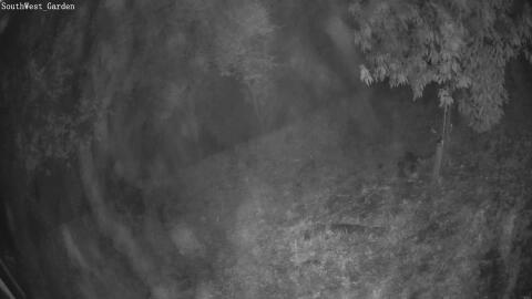 1468-20260513043442-11.jpg