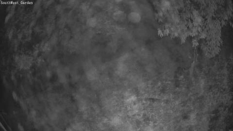 1469-20260513045410-20.jpg