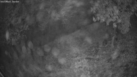 1470-20260513045535-16.jpg