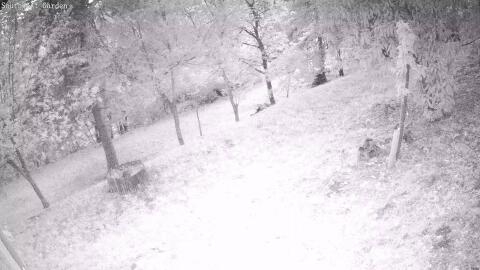 1487-20260513204926-42.jpg
