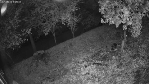 1532-20260514234337-14.jpg