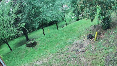 1580-20260515183600-00.jpg