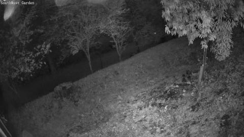 1634-20260516211837-03.jpg