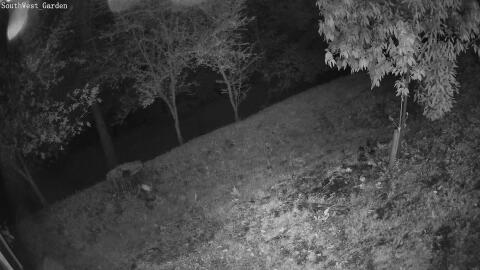 1720-20260517022940-17.jpg