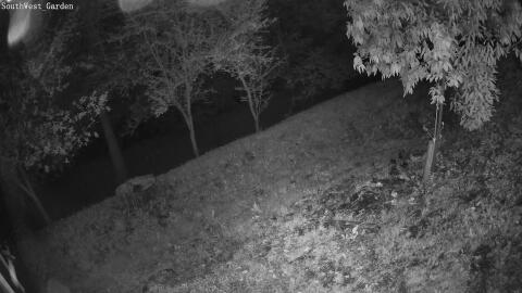 1756-20260517042931-06.jpg