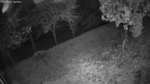 79-20260518014141-09.jpg