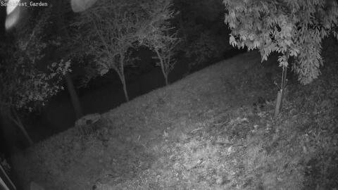 187-20260519030745-16.jpg