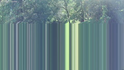 206-20260519181235-00.jpg