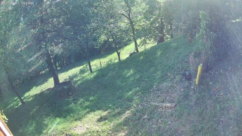 208-20260519182824-01.jpg
