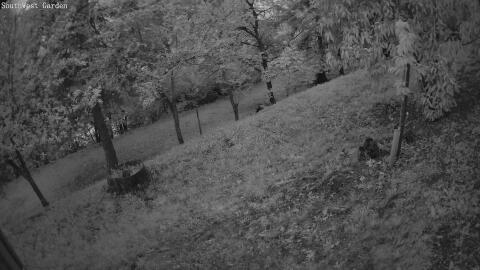 07-20260520050436-26.jpg