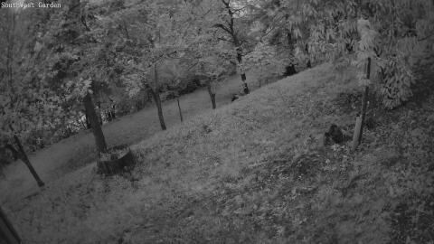 07-20260520050438-25.jpg