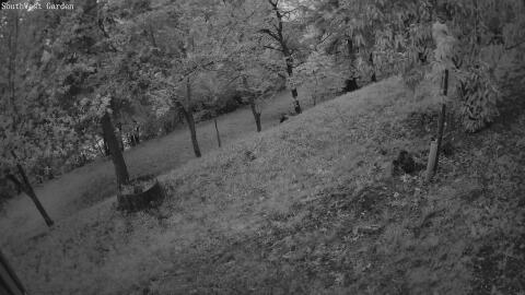 08-20260520051601-06.jpg