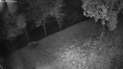 266-20260523221515-02.jpg
