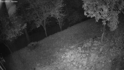 569-20260526030457-12.jpg