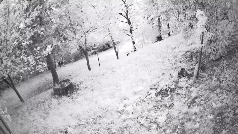 602-20260526210218-44.jpg