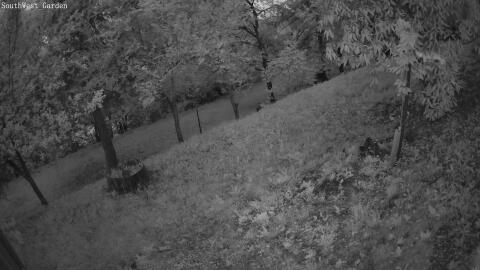 670-20260527044950-17.jpg