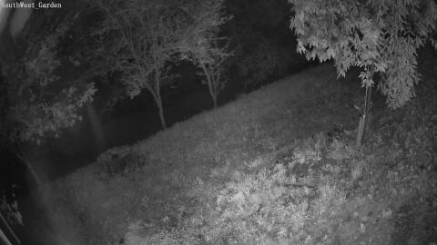 767-20260528021228-21.jpg