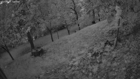 822-20260528205251-19.jpg