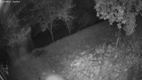 1051-20260530001454-06.jpg