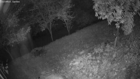 1101-20260530040641-05.jpg