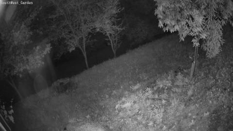 1102-20260530040911-16.jpg