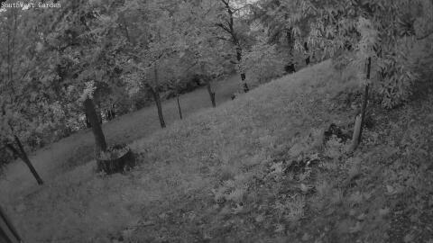 1109-20260530050438-03.jpg