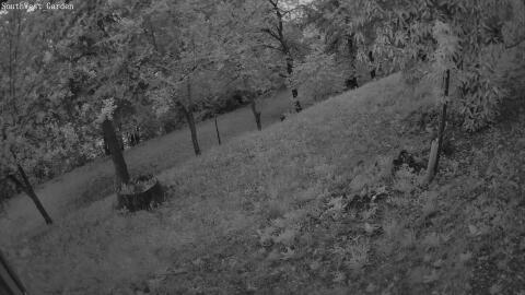 1109-20260530050445-01.jpg