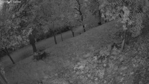 1125-20260530210833-15.jpg