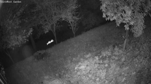 1191-20260531035948-05.jpg