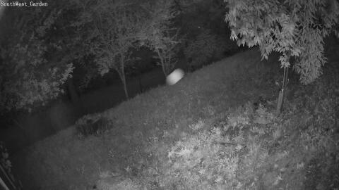 1201-20260531043159-00.jpg