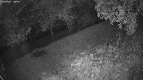 1201-20260531043203-02.jpg
