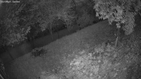 1202-20260531043623-12.jpg