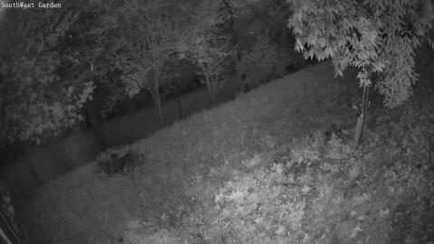 1202-20260531043624-00.jpg