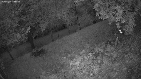 1203-20260531044104-00.jpg