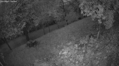 1203-20260531044110-00.jpg
