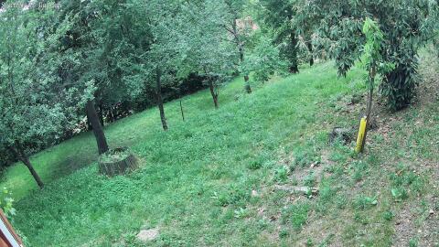 1208-20260531180324-15.jpg
