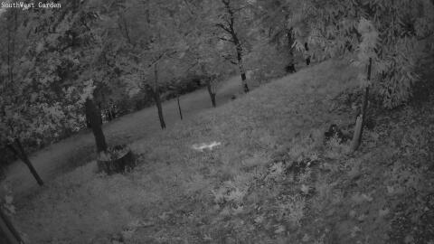 1210-20260531210330-40.jpg