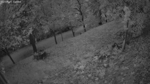 1210-20260531210337-03.jpg