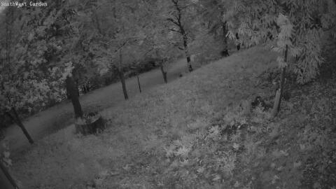 1211-20260531210603-16.jpg
