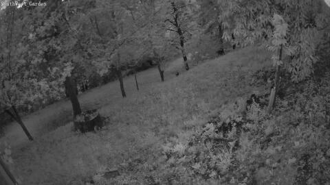 1301-20260601210647-07.jpg