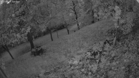 1301-20260601210649-17.jpg