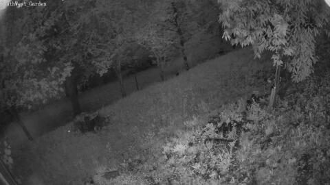 1302-20260601211732-00.jpg