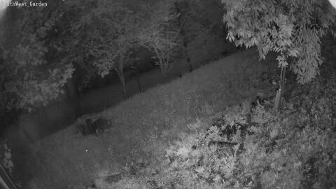 1304-20260601212140-15.jpg