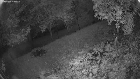 1304-20260601212218-10.jpg