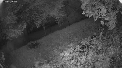 1305-20260601212355-13.jpg