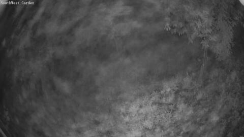 1384-20260602035922-00.jpg