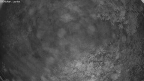1387-20260602042705-24.jpg