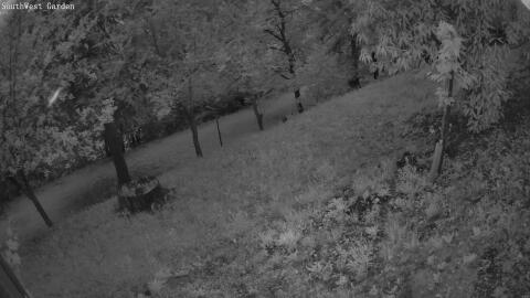 1398-20260602210646-10.jpg