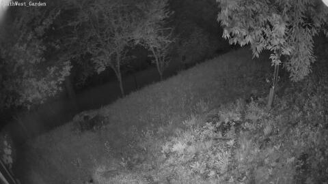1404-20260602212641-14.jpg